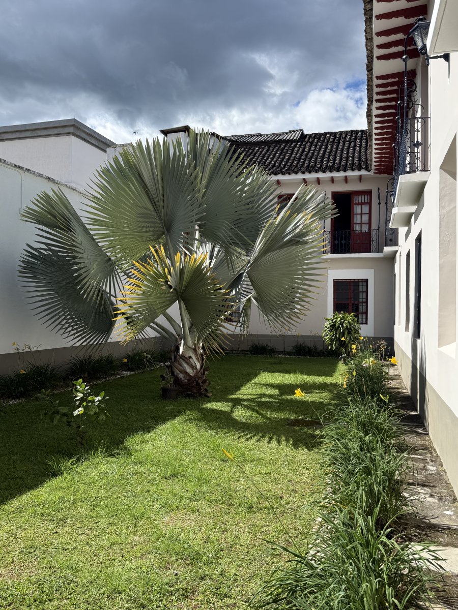 Obvio